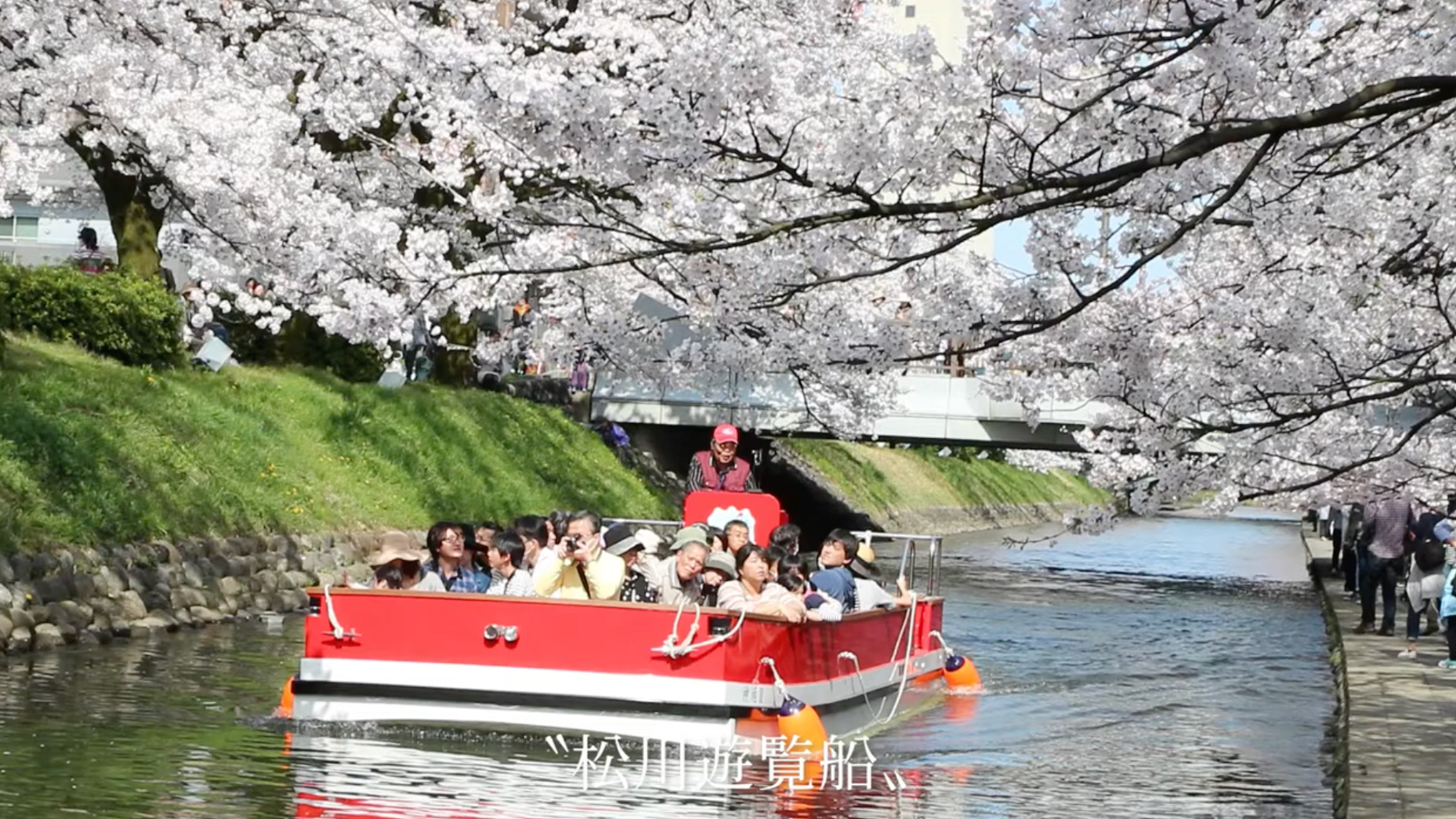 持続可能な伝統食文化について考える、富山のます寿司編